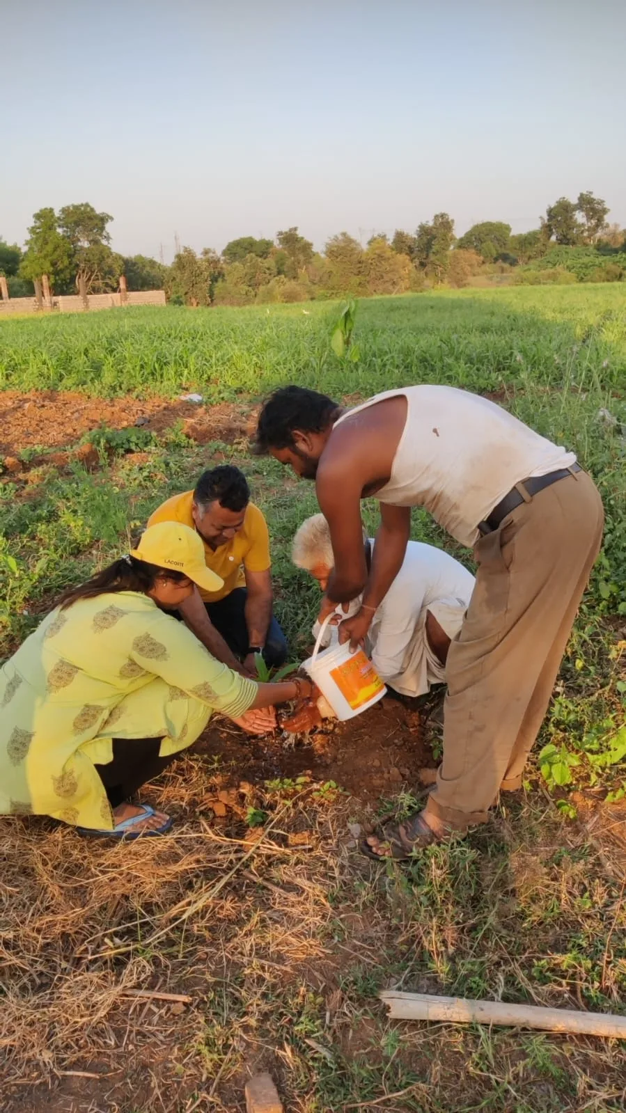 Volunteers watering a newly planted sapling