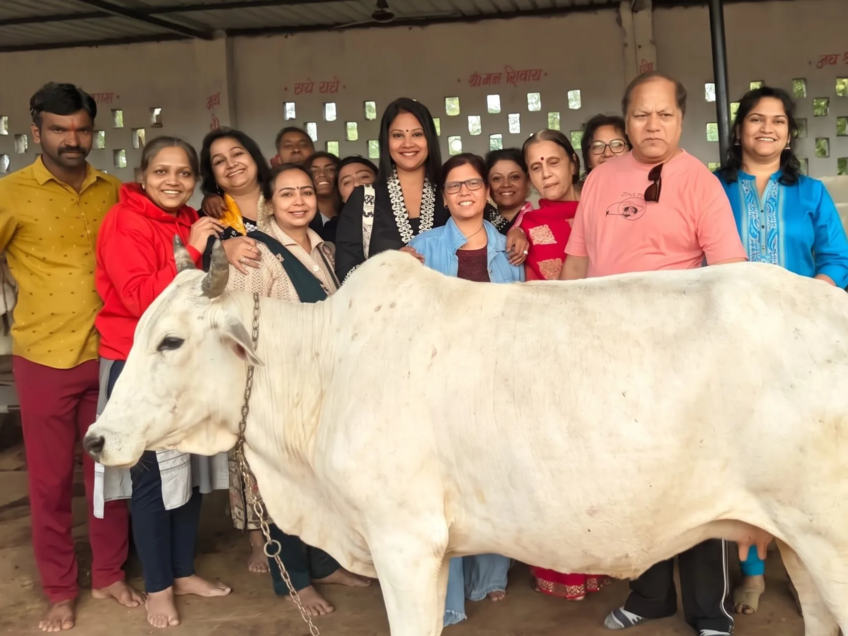 A visiting group standing with one of the cows in the shed