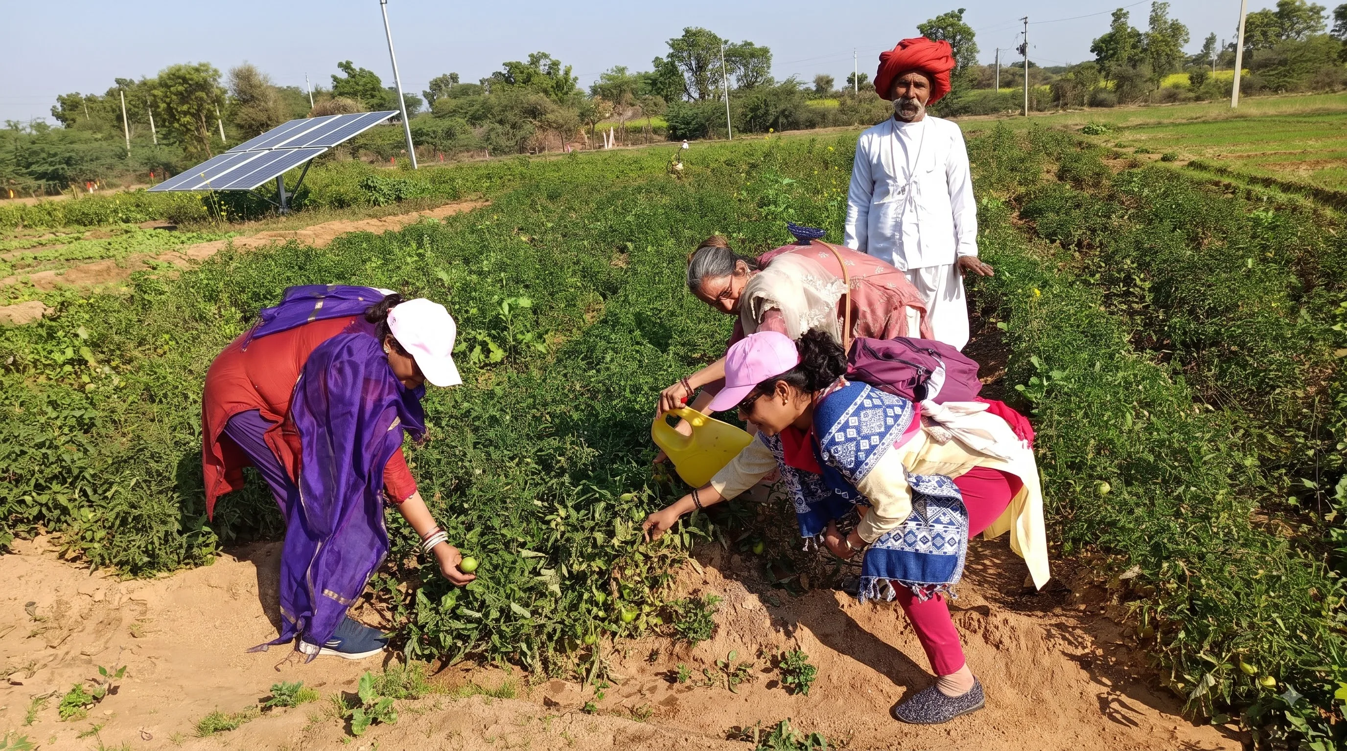 Visitors in the fields beside the gaushala with a village elder