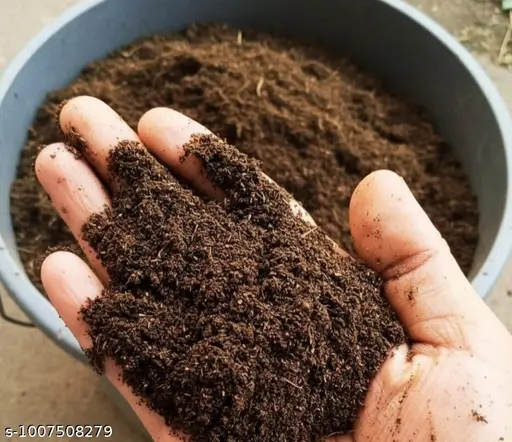 A handful of cow-dung khaad